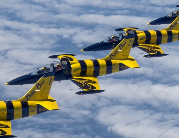 l-39-riga-baltic-bees-4